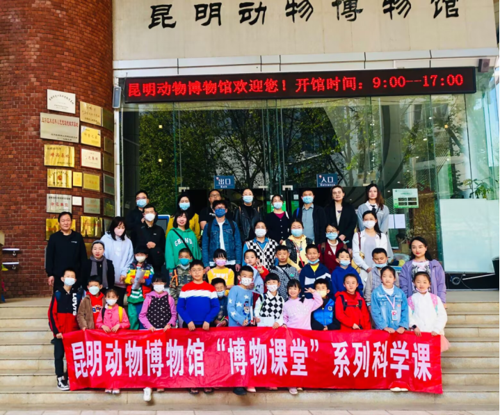 电子游戏app下载安装