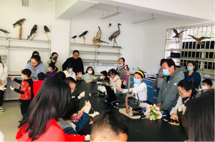 电子游戏app下载安装