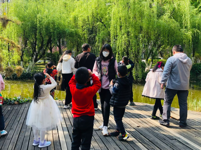 电子游戏app下载安装