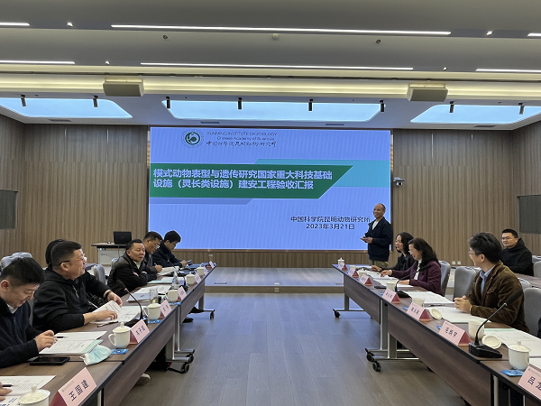 电子游戏app下载安装