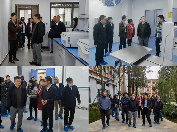 电子游戏app下载安装