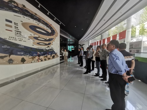 电子游戏app下载安装