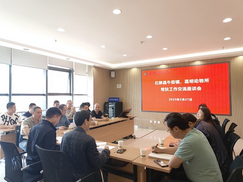 电子游戏app下载安装