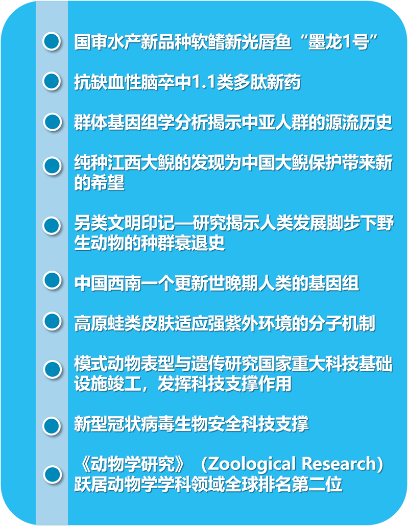 电子游戏app下载安装