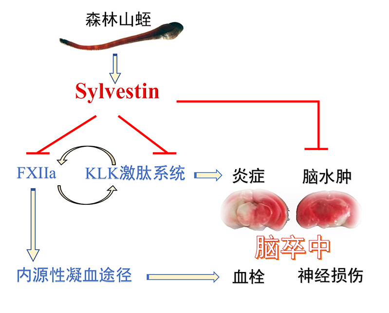 电子游戏app下载安装
