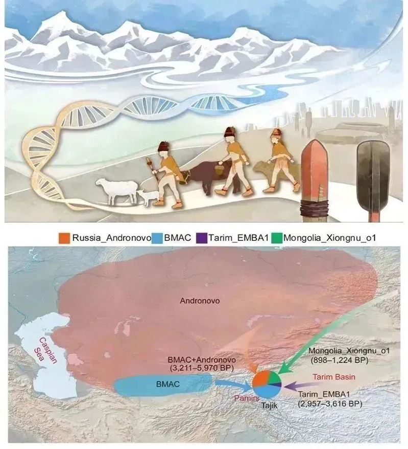 电子游戏app下载安装