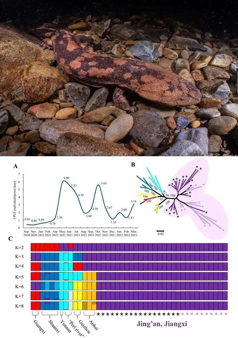 电子游戏app下载安装