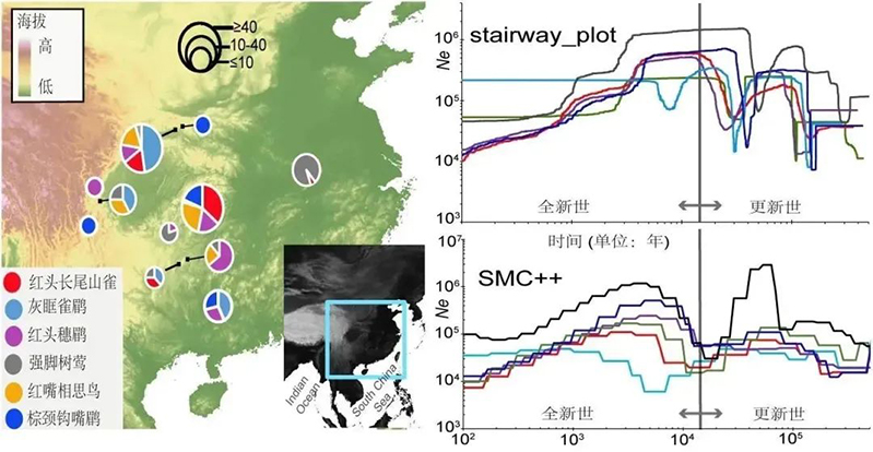 电子游戏app下载安装