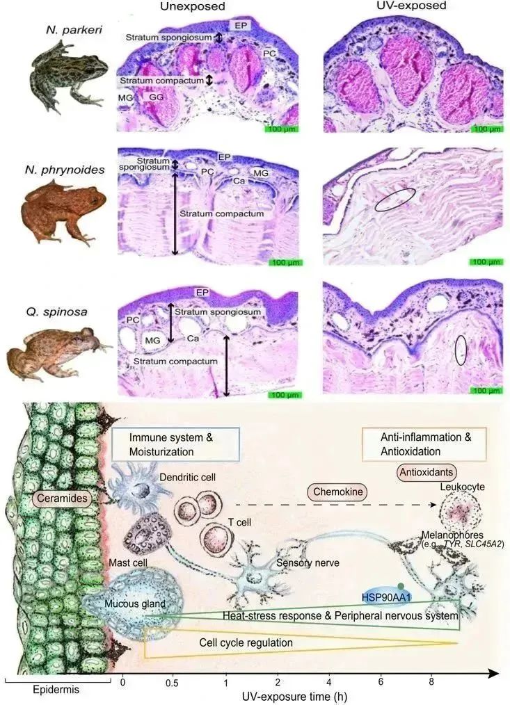 电子游戏app下载安装