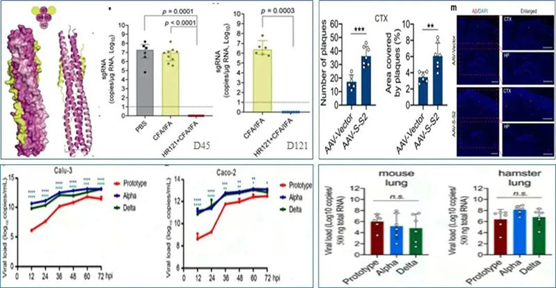 电子游戏app下载安装