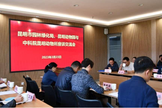 电子游戏app下载安装