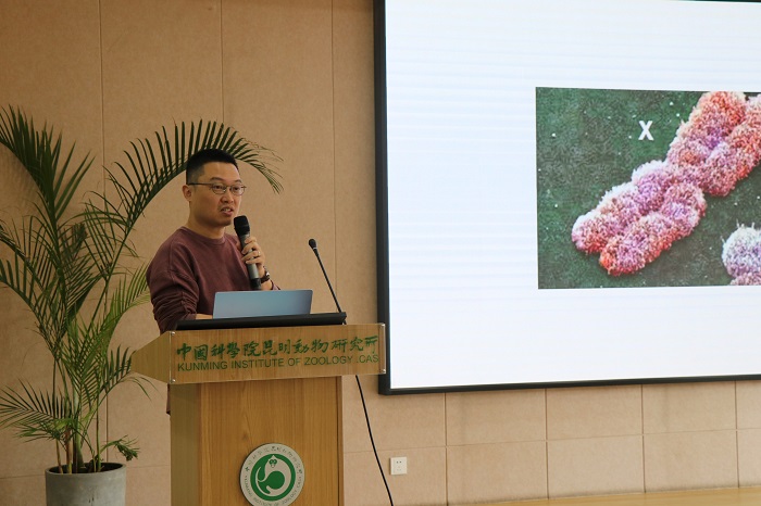 电子游戏app下载安装