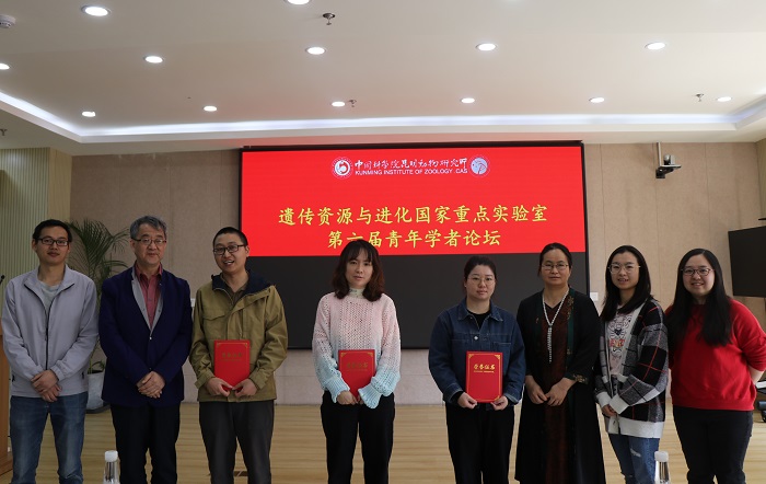 电子游戏app下载安装