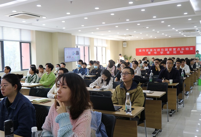 电子游戏app下载安装