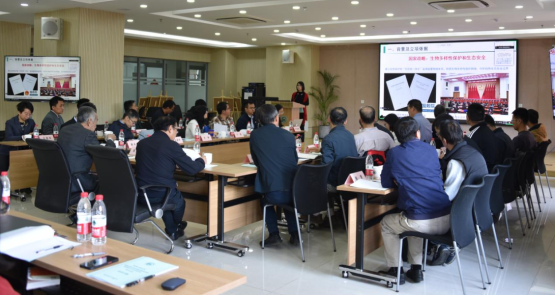 电子游戏app下载安装