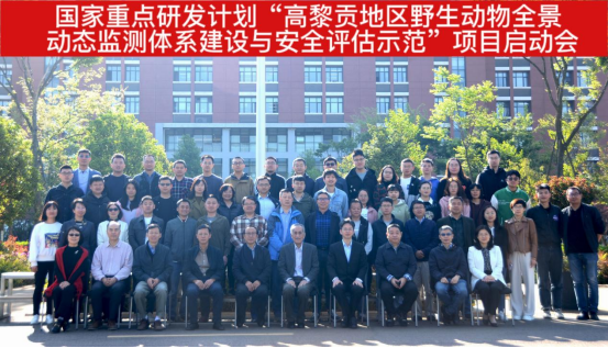 电子游戏app下载安装