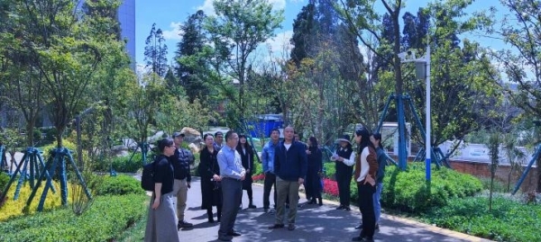 电子游戏app下载安装