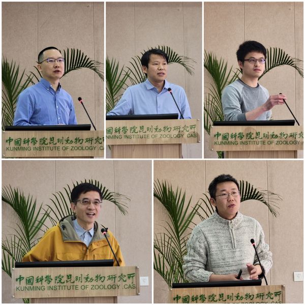 电子游戏app下载安装