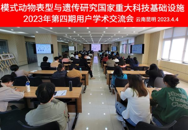 电子游戏app下载安装