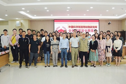 电子游戏app下载安装