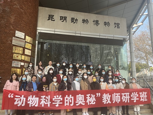 电子游戏app下载安装