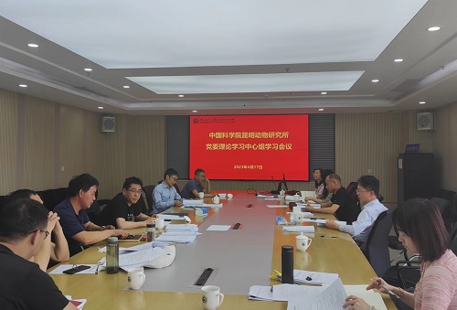 电子游戏app下载安装