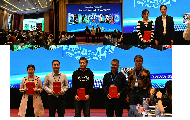 电子游戏app下载安装