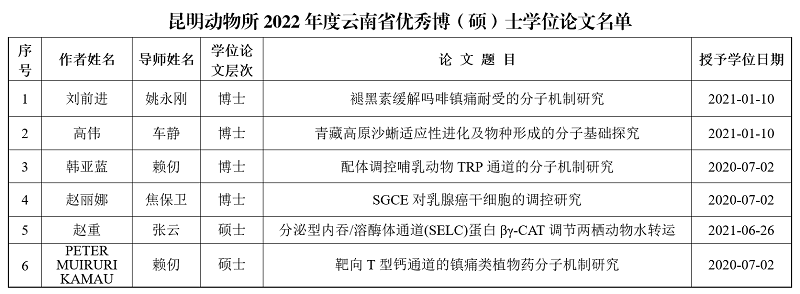 电子游戏app下载安装