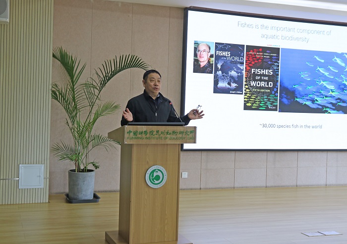 电子游戏app下载安装