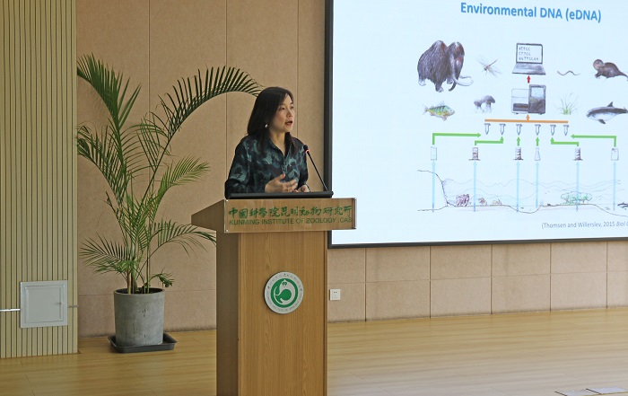 电子游戏app下载安装