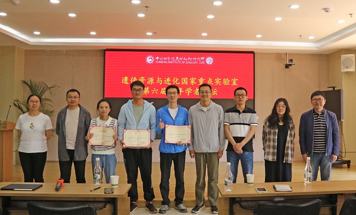 电子游戏app下载安装