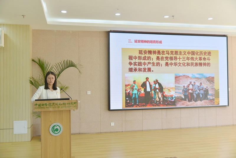 电子游戏app下载安装