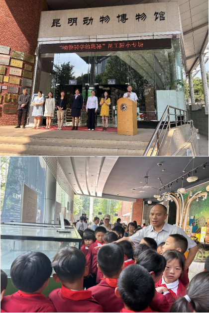 电子游戏app下载安装