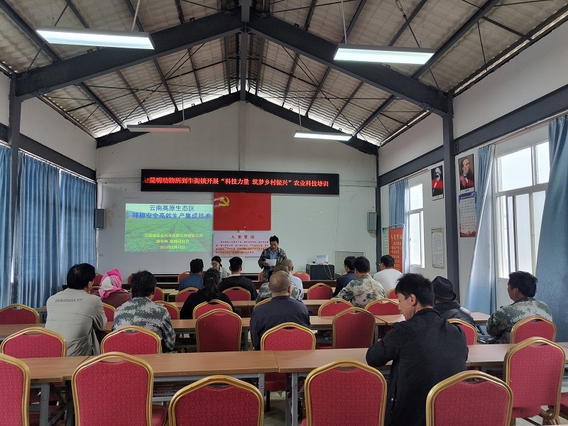 电子游戏app下载安装