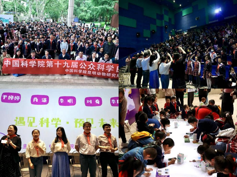 电子游戏app下载安装