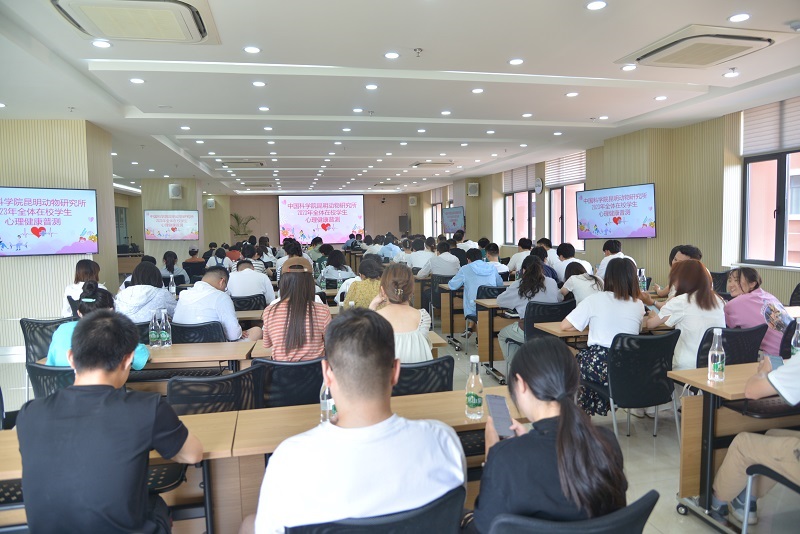 电子游戏app下载安装