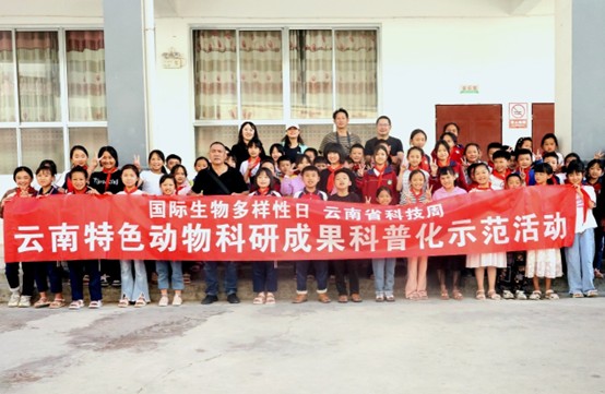 电子游戏app下载安装