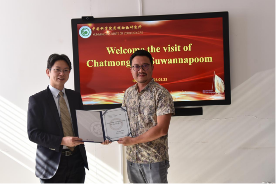 电子游戏app下载安装