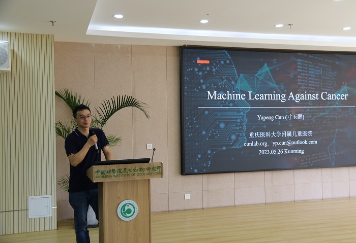 电子游戏app下载安装