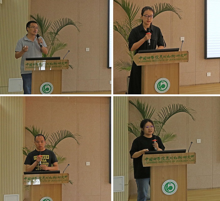 电子游戏app下载安装