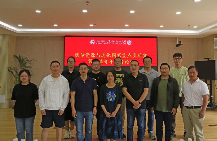 电子游戏app下载安装