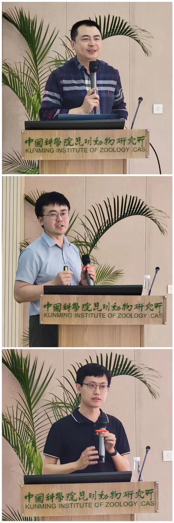 电子游戏app下载安装