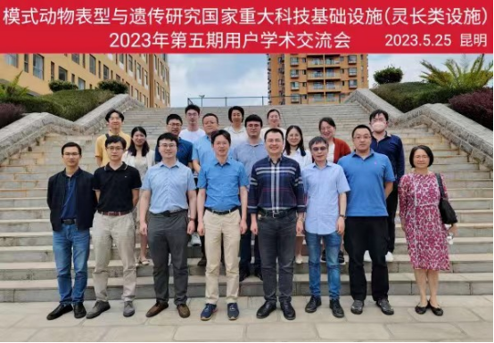 电子游戏app下载安装