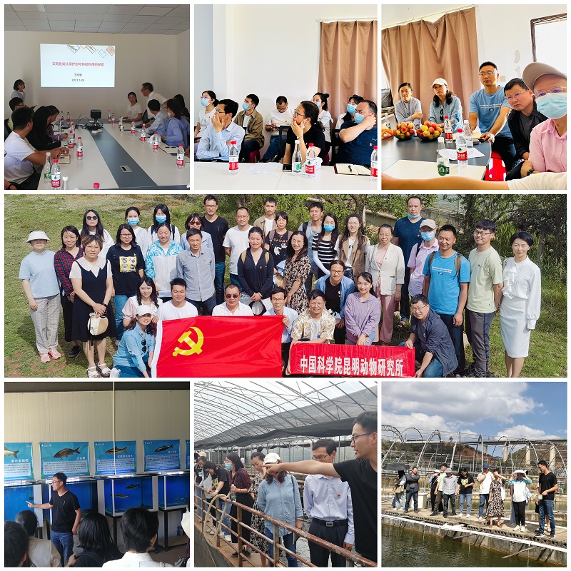 电子游戏app下载安装