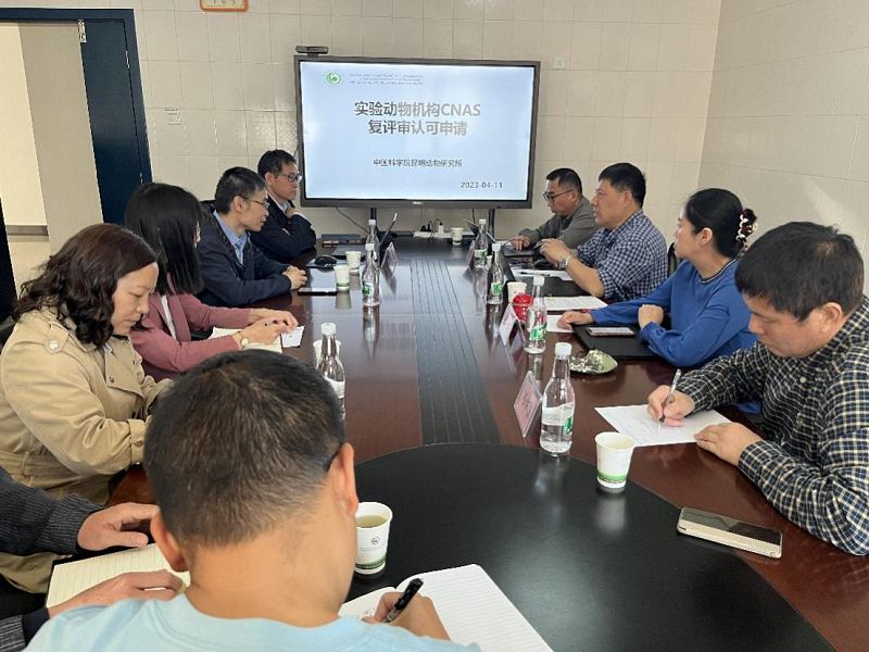 电子游戏app下载安装