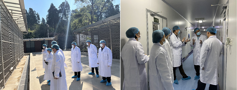 电子游戏app下载安装