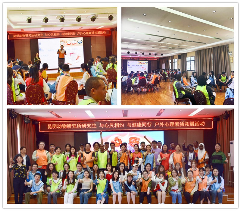 电子游戏app下载安装