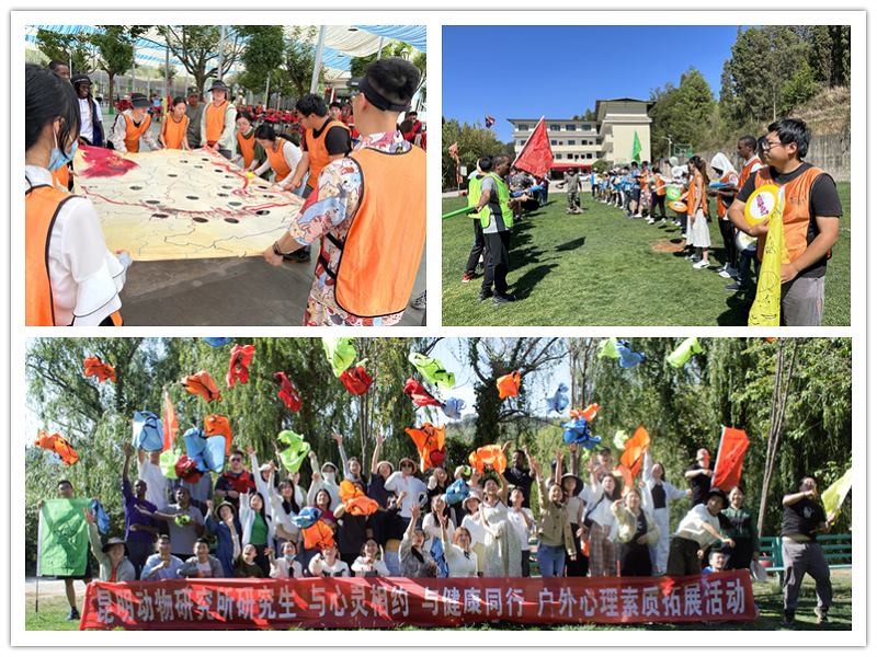 电子游戏app下载安装