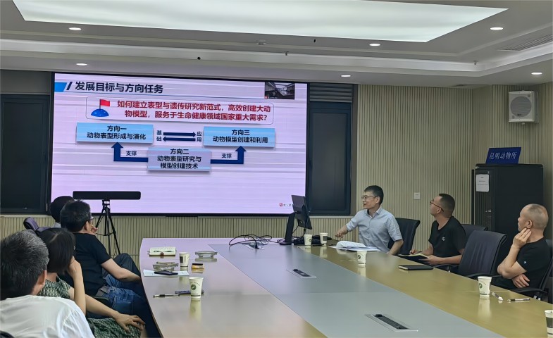 电子游戏app下载安装