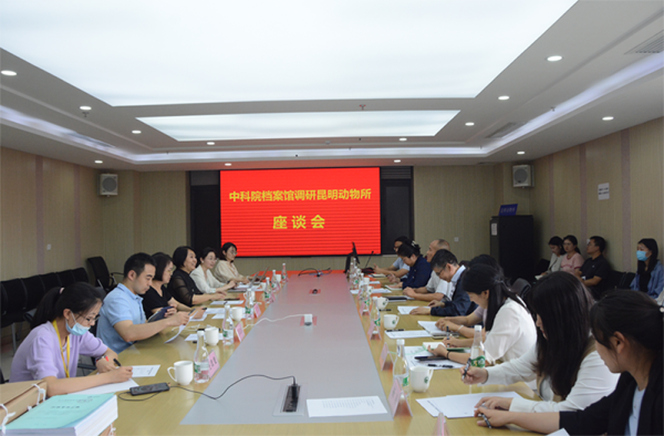 电子游戏app下载安装